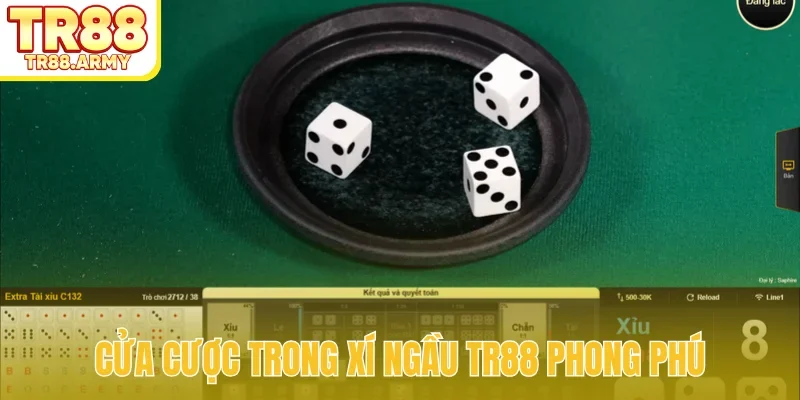 Cửa cược trong xí ngầu TR88 phong phú